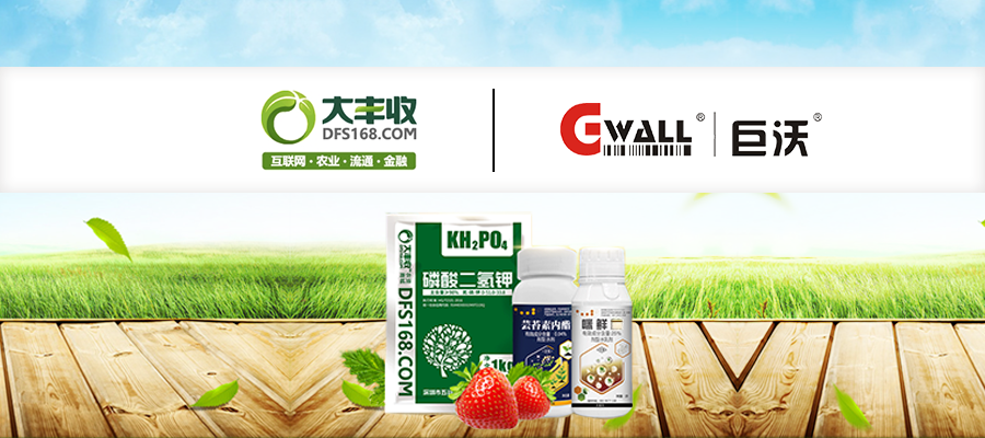 大豐收攜手巨沃科技，打造智慧高效農(nóng)資供應(yīng)鏈體系